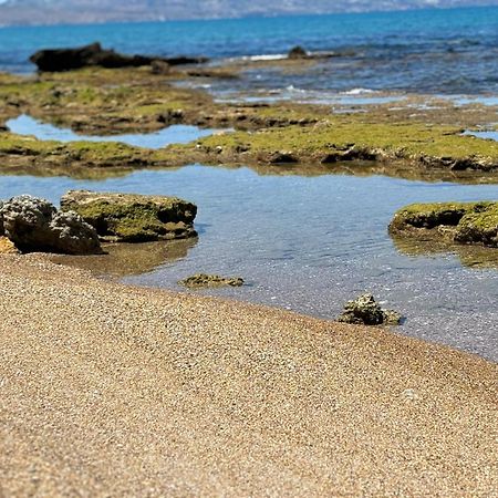 Lu Mari Case Vacanze Balestrate Bagian luar foto