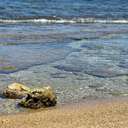 Lu Mari Case Vacanze Balestrate Bagian luar foto