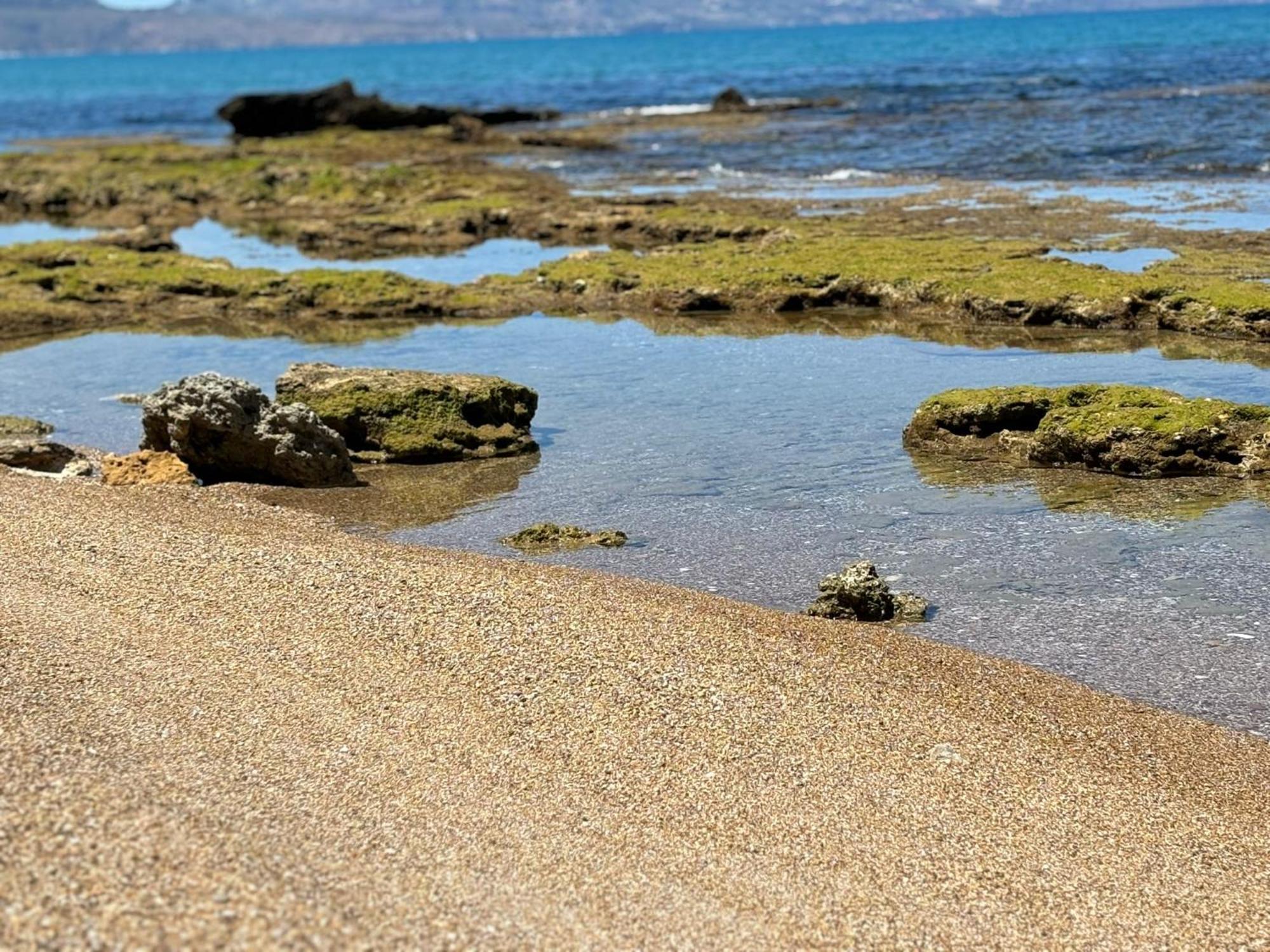 Lu Mari Case Vacanze Balestrate Bagian luar foto
