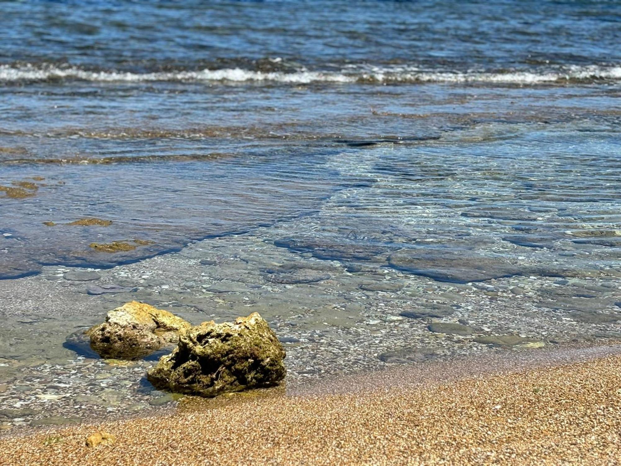 Lu Mari Case Vacanze Balestrate Bagian luar foto